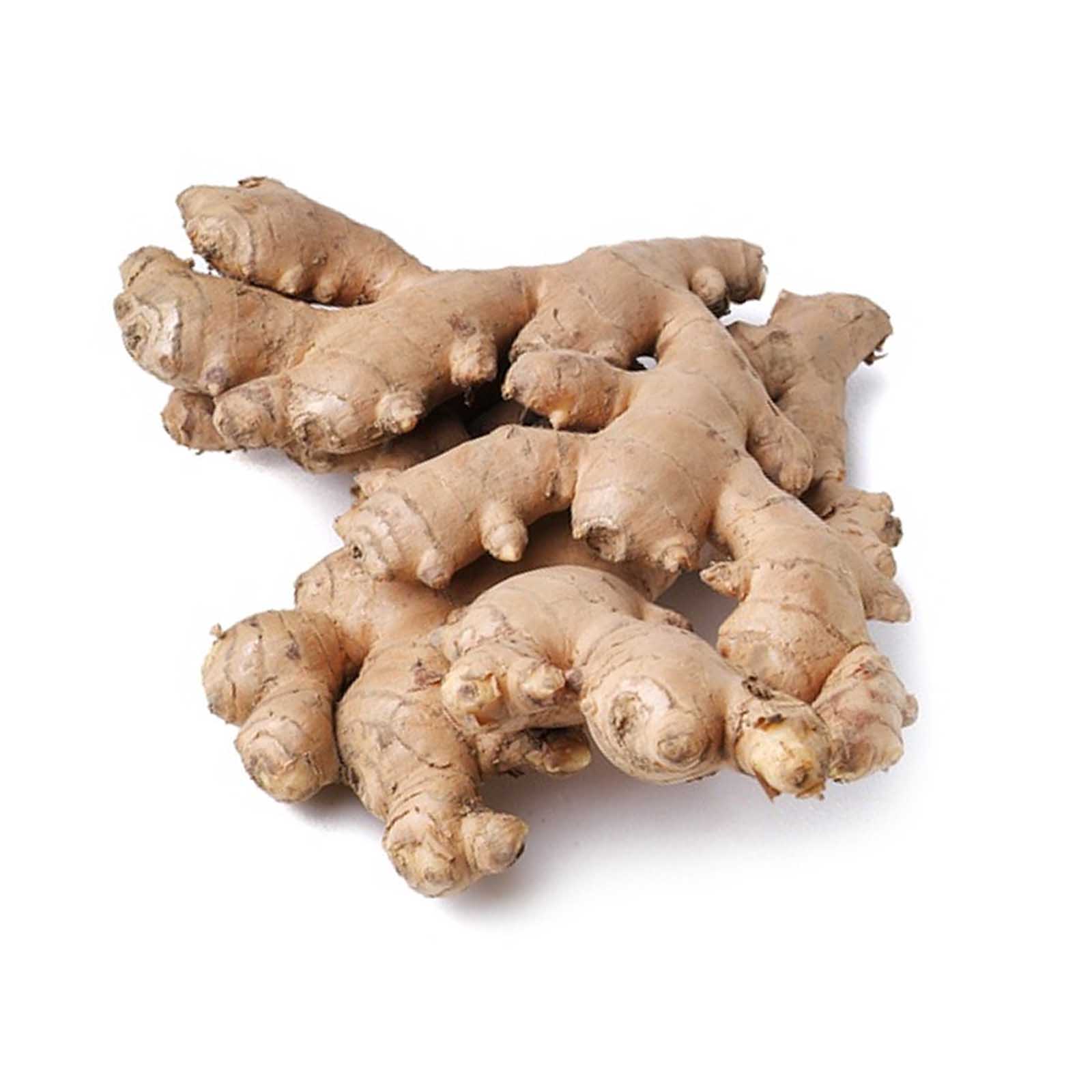 GINGER - INDIA ( kg )