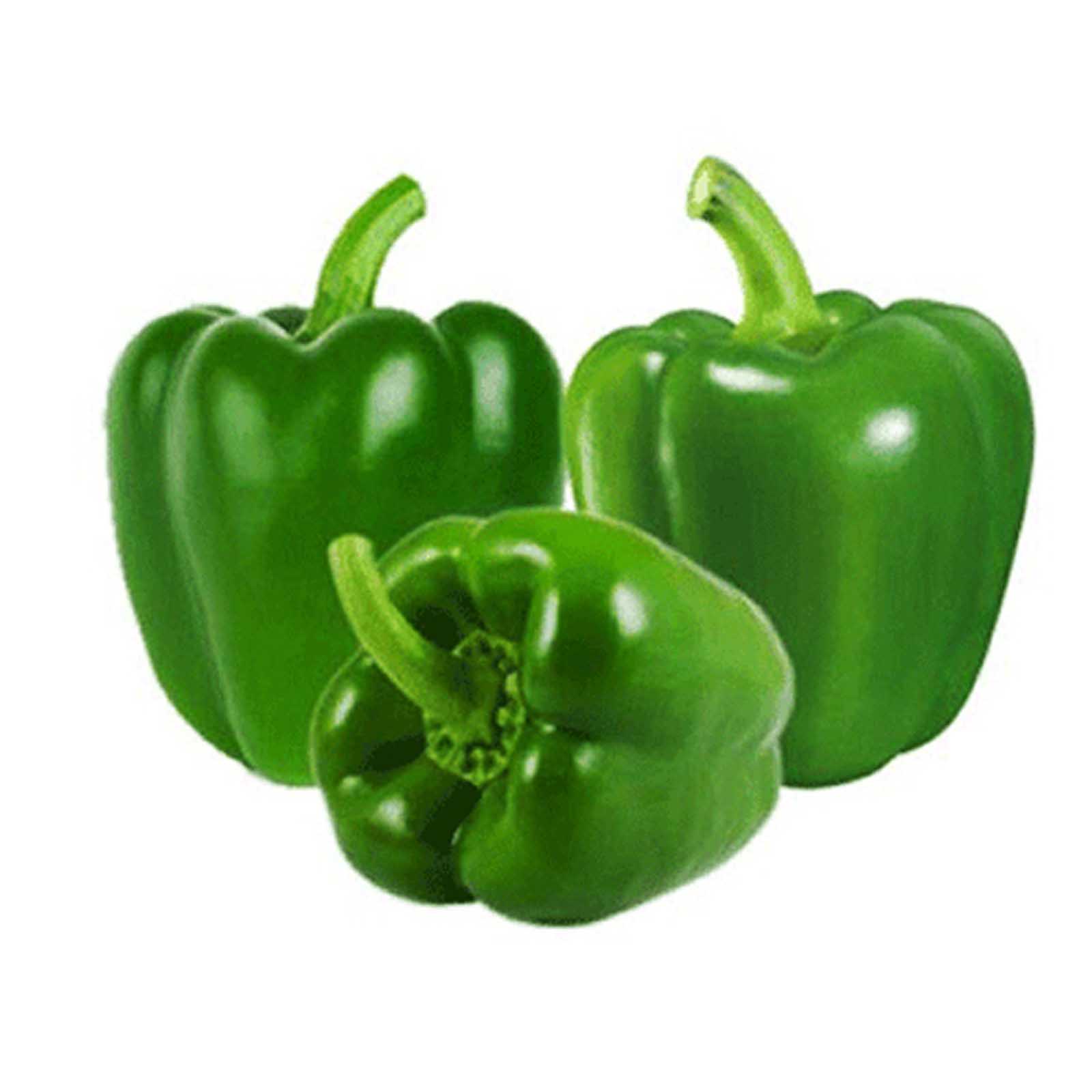 CAPSICUM GREEN - ME ( KG )