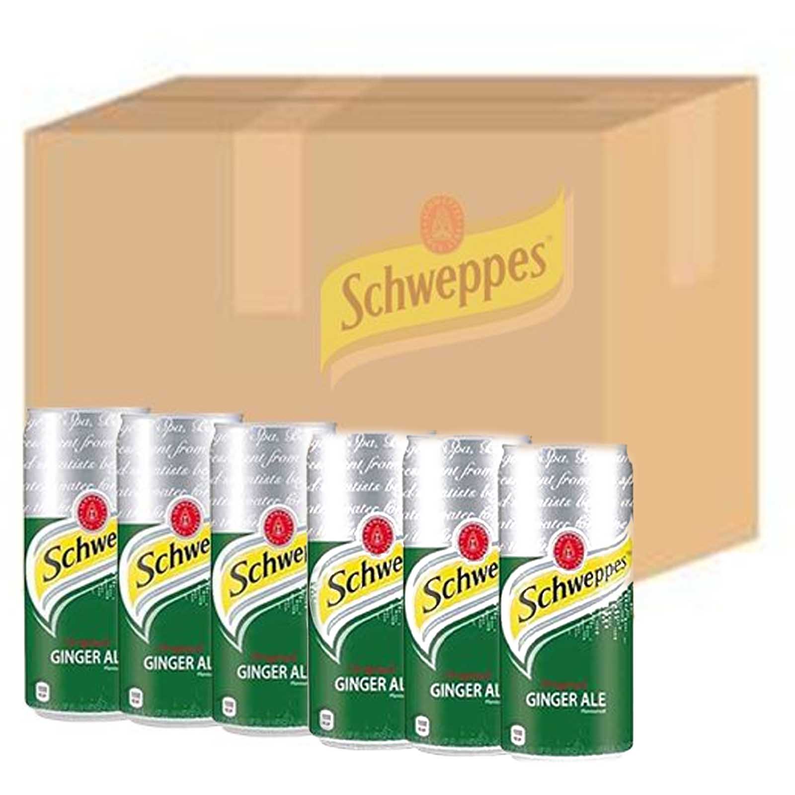 SCHWEPPES GINGER ALE ( 24 X 300 ML )