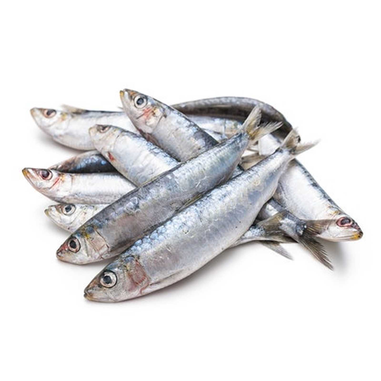 FISH SARDINE FRESH ( 1 KG )