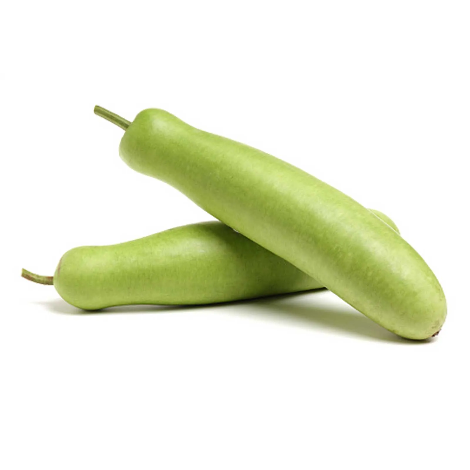 BOTTLE GOURD - ME ( KG )