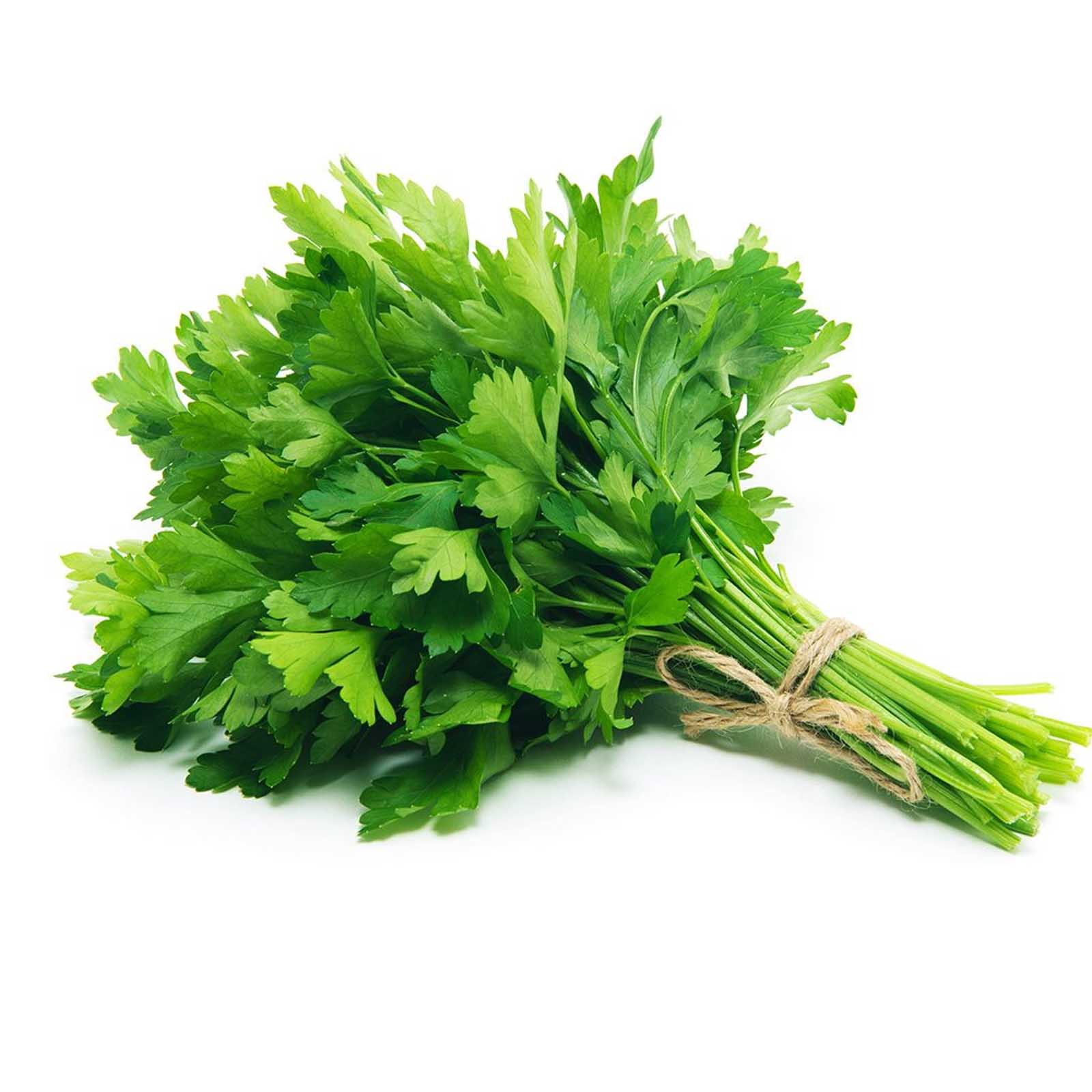 PARSLEY CURLY - ITALY ( KG )