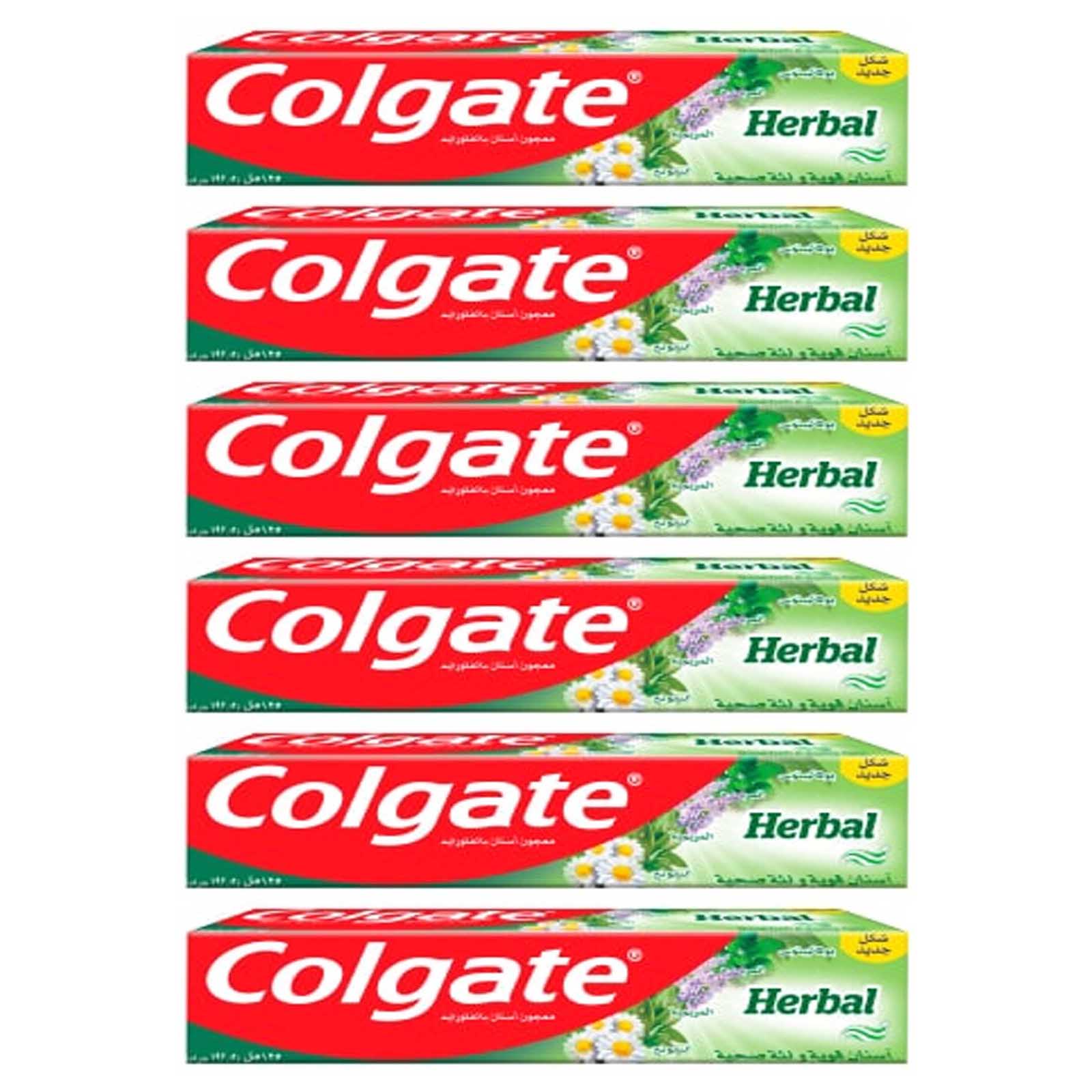 TOOTH PASTE HERBAL COLGATE (6 X 100 ML)