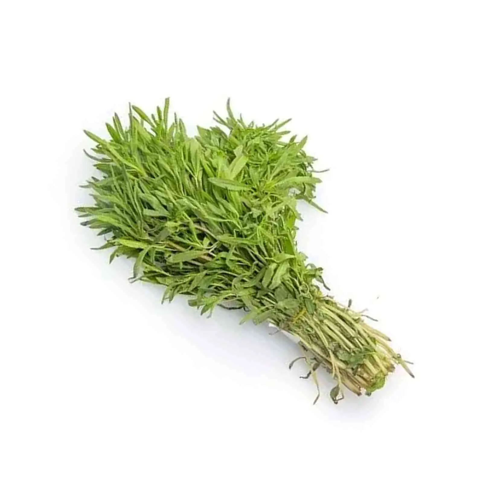 ZATAR LEAVES - UAE ( KG )