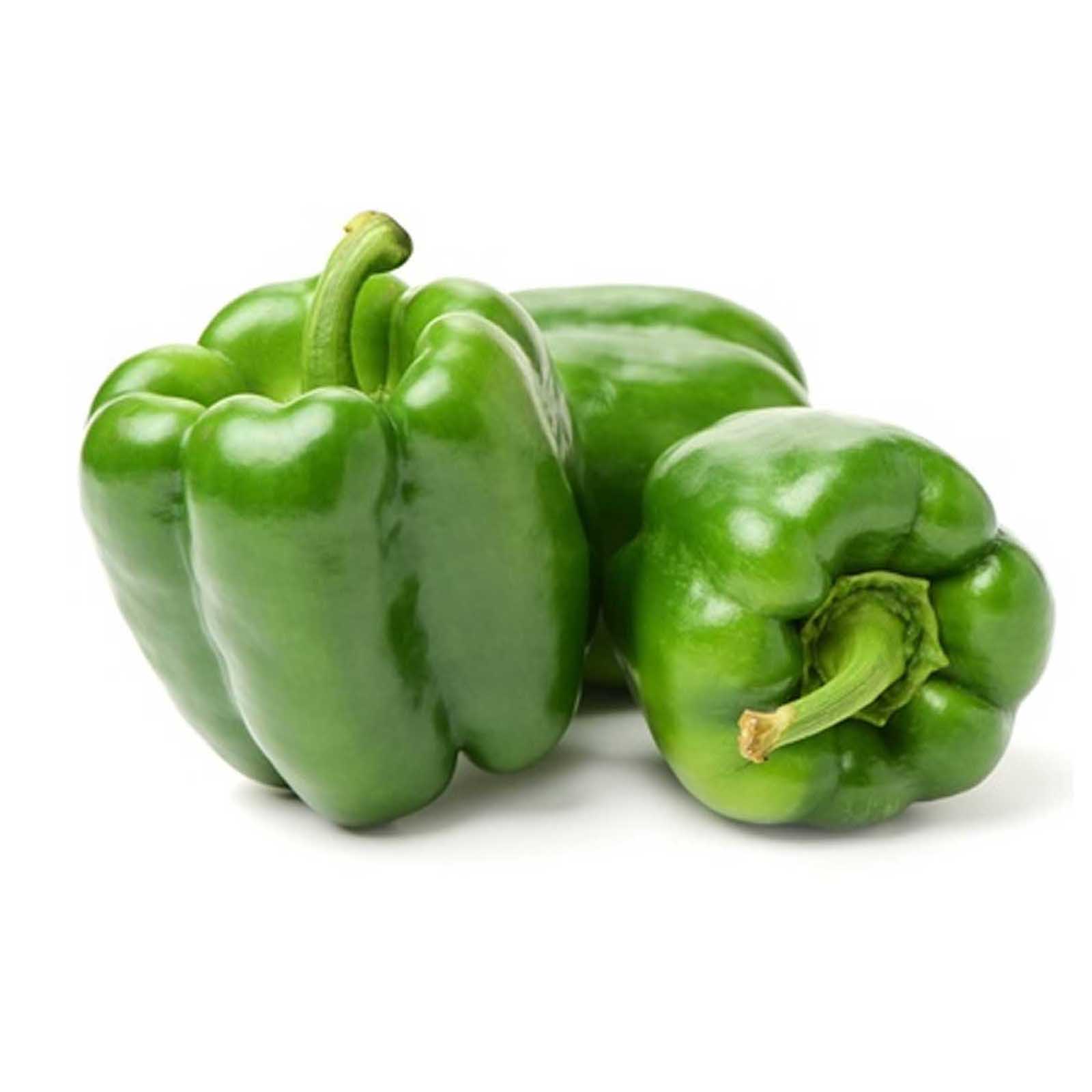 CAPSICUM GREEN - HOLL ( kg )