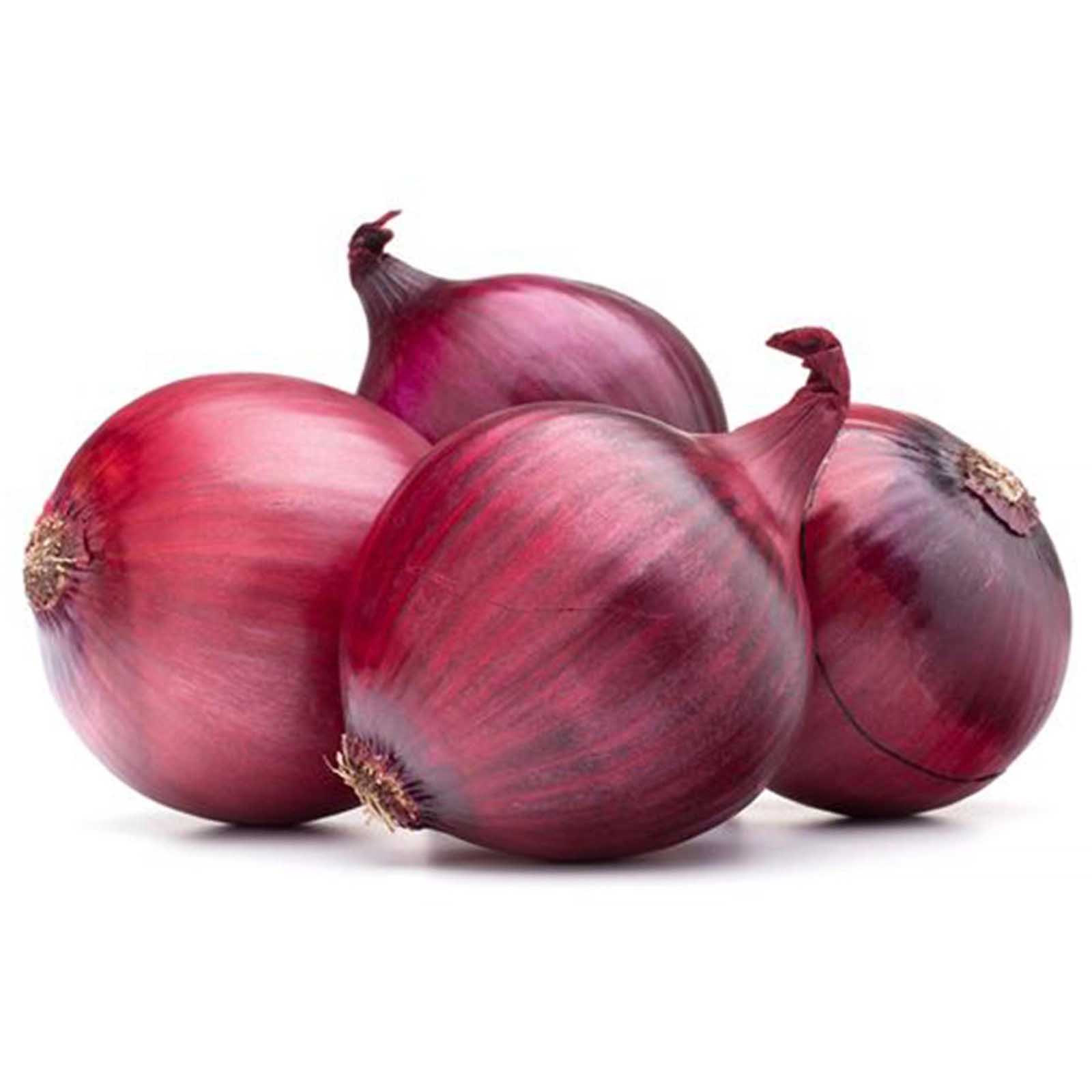 ONION RED - HOLL ( KG )