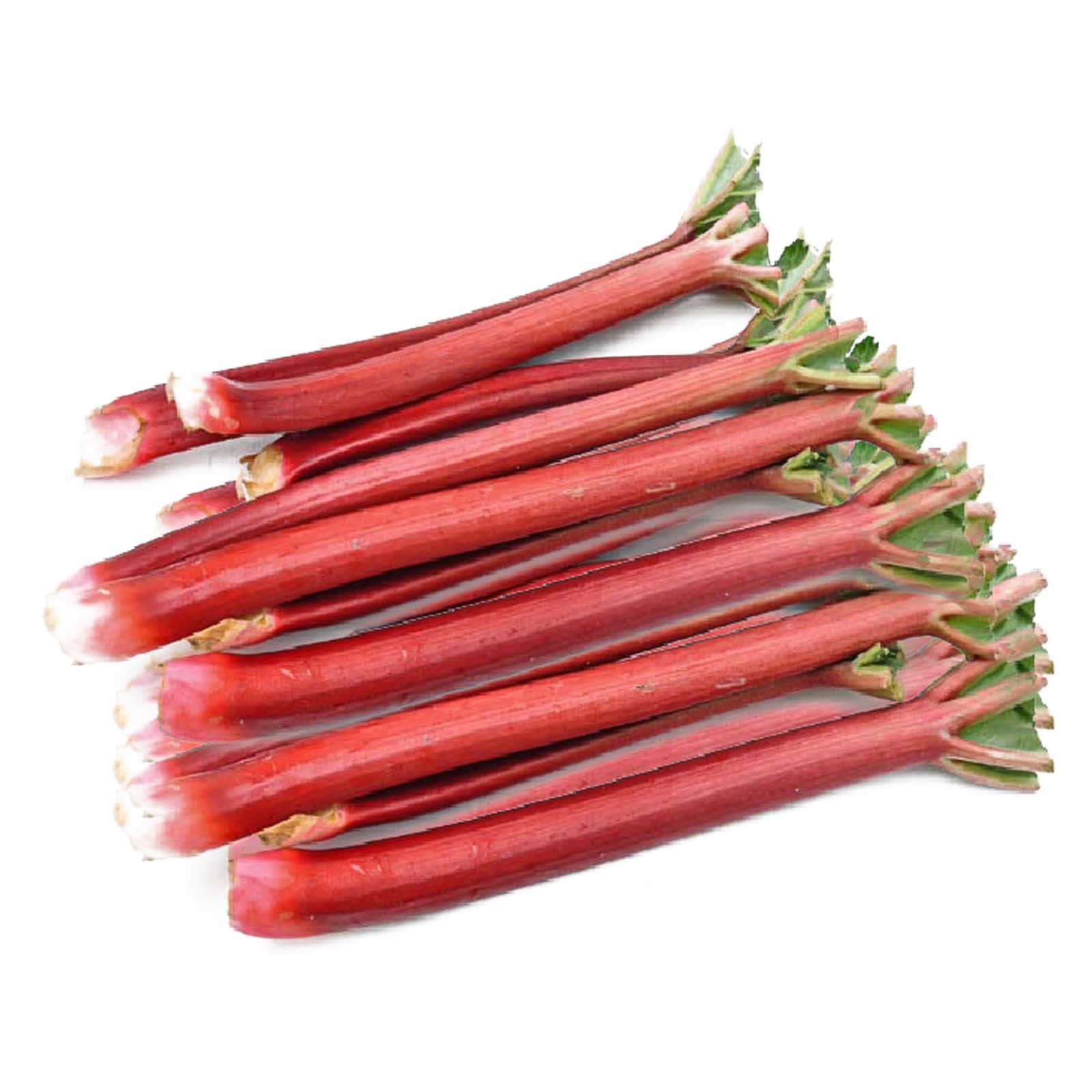 RHUBARB - HOLL ( KG )