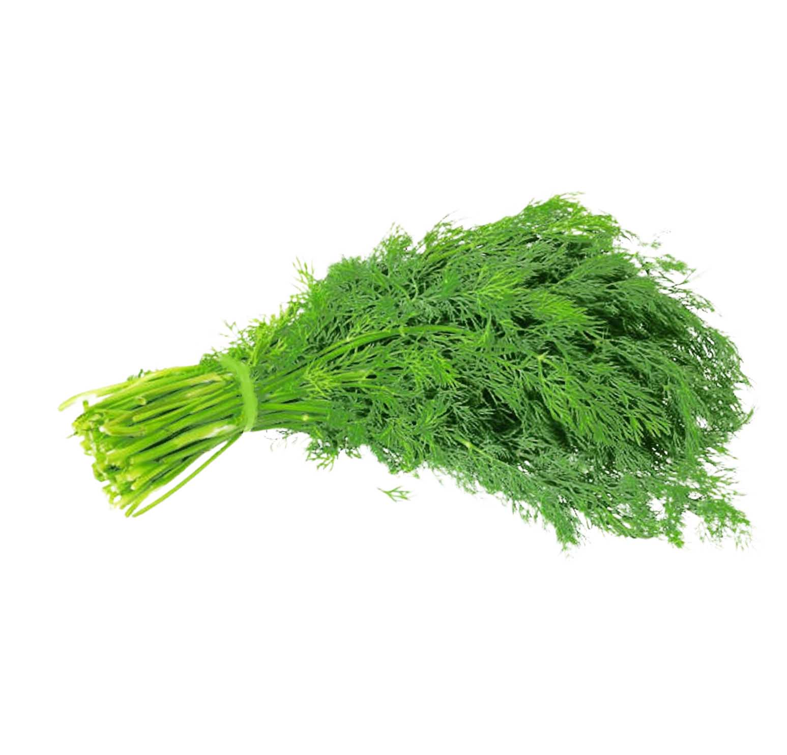 DILL LEAVES - ME ( KG )