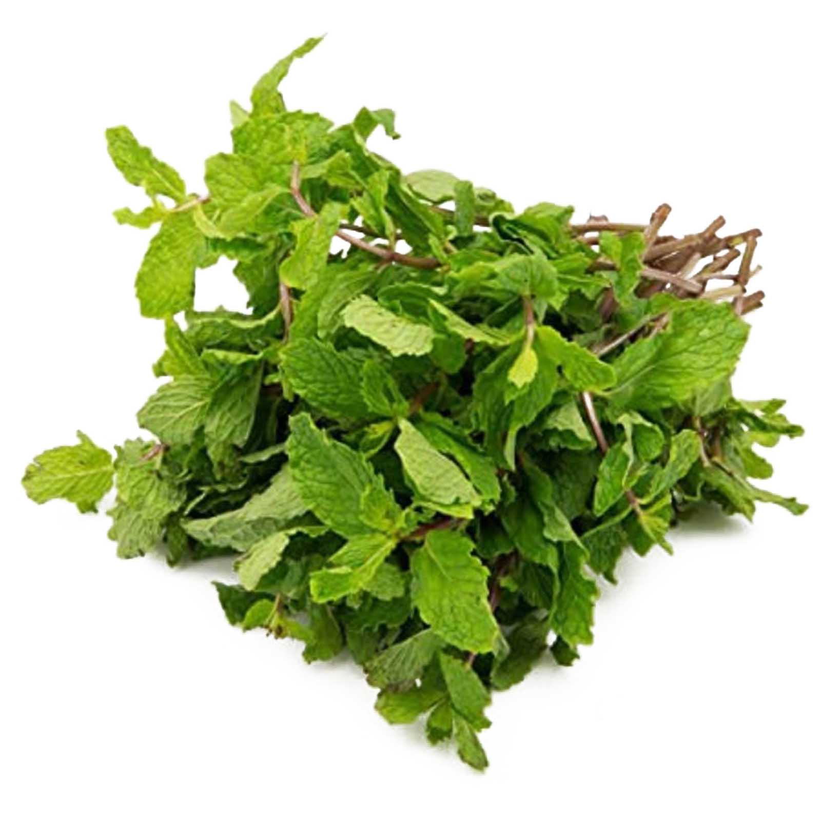 MINT LEAVES - KENYA ( KG )