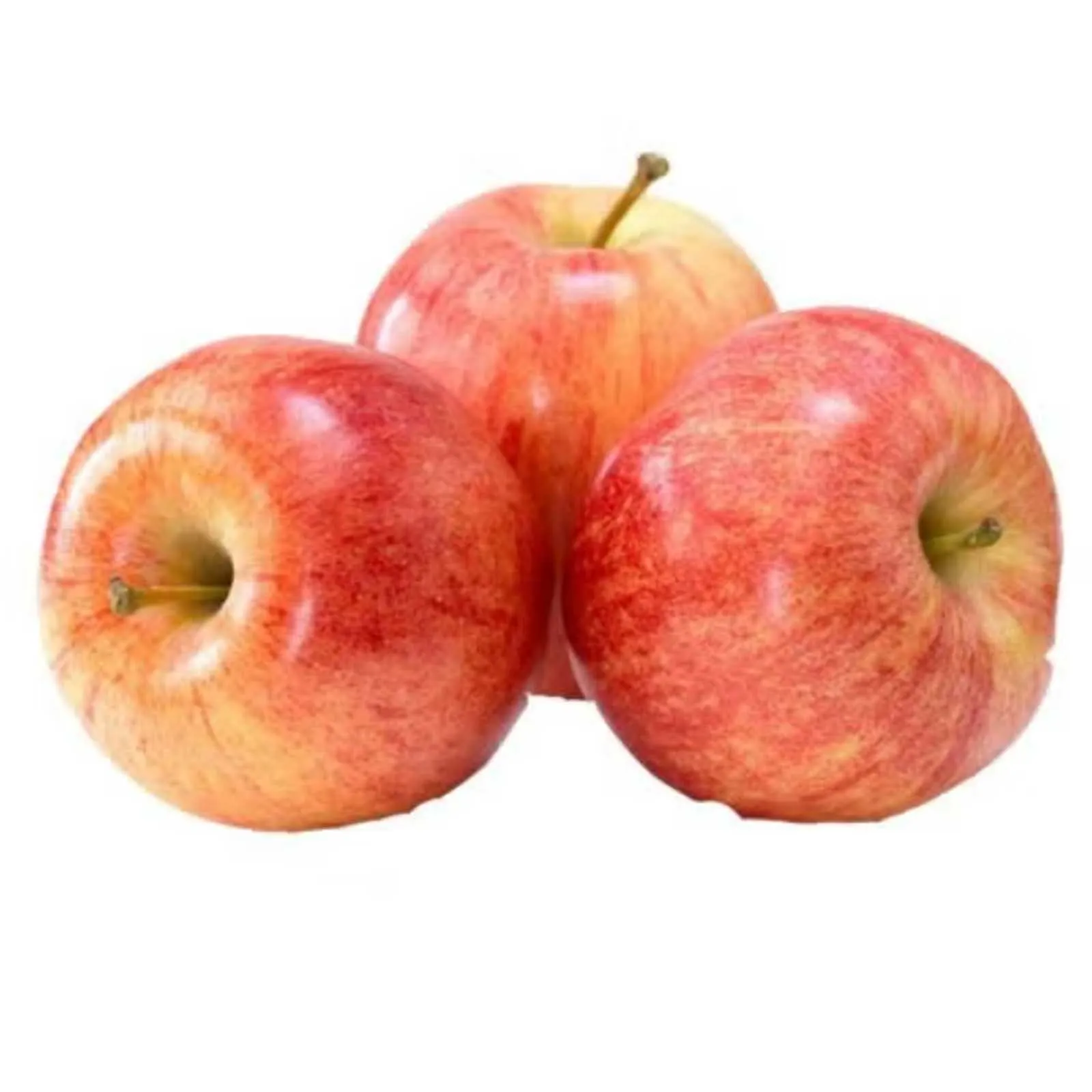 APPLE ROYAL GALA - TURKEY ( KG )