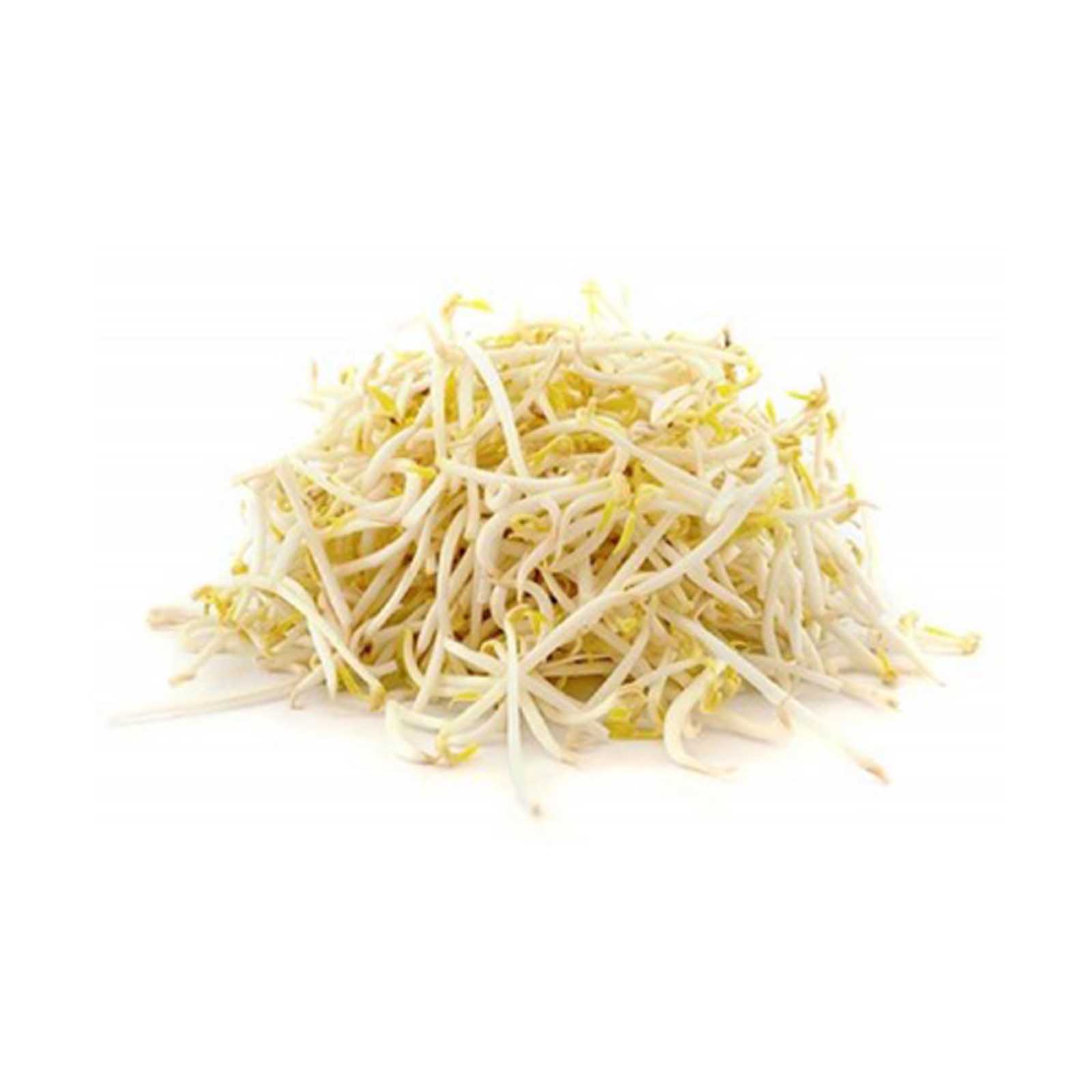 BEANS SPROUTS ( 250 gm )