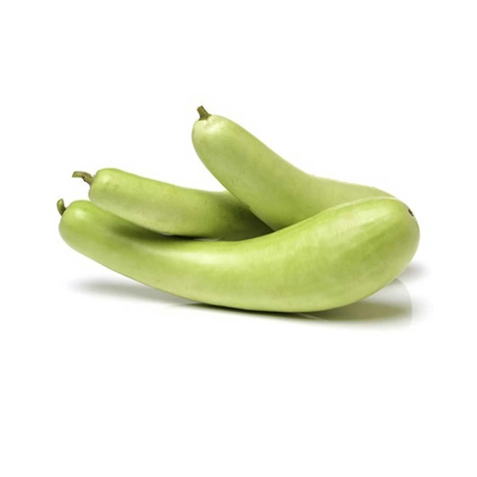 BOTTLE GOURD - INDIA ( KG )