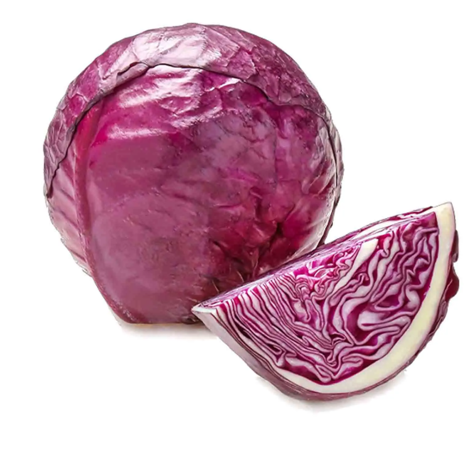 CABBAGE RED - HOLLAND - PC ( 1.3 KG - 1.5 KG )