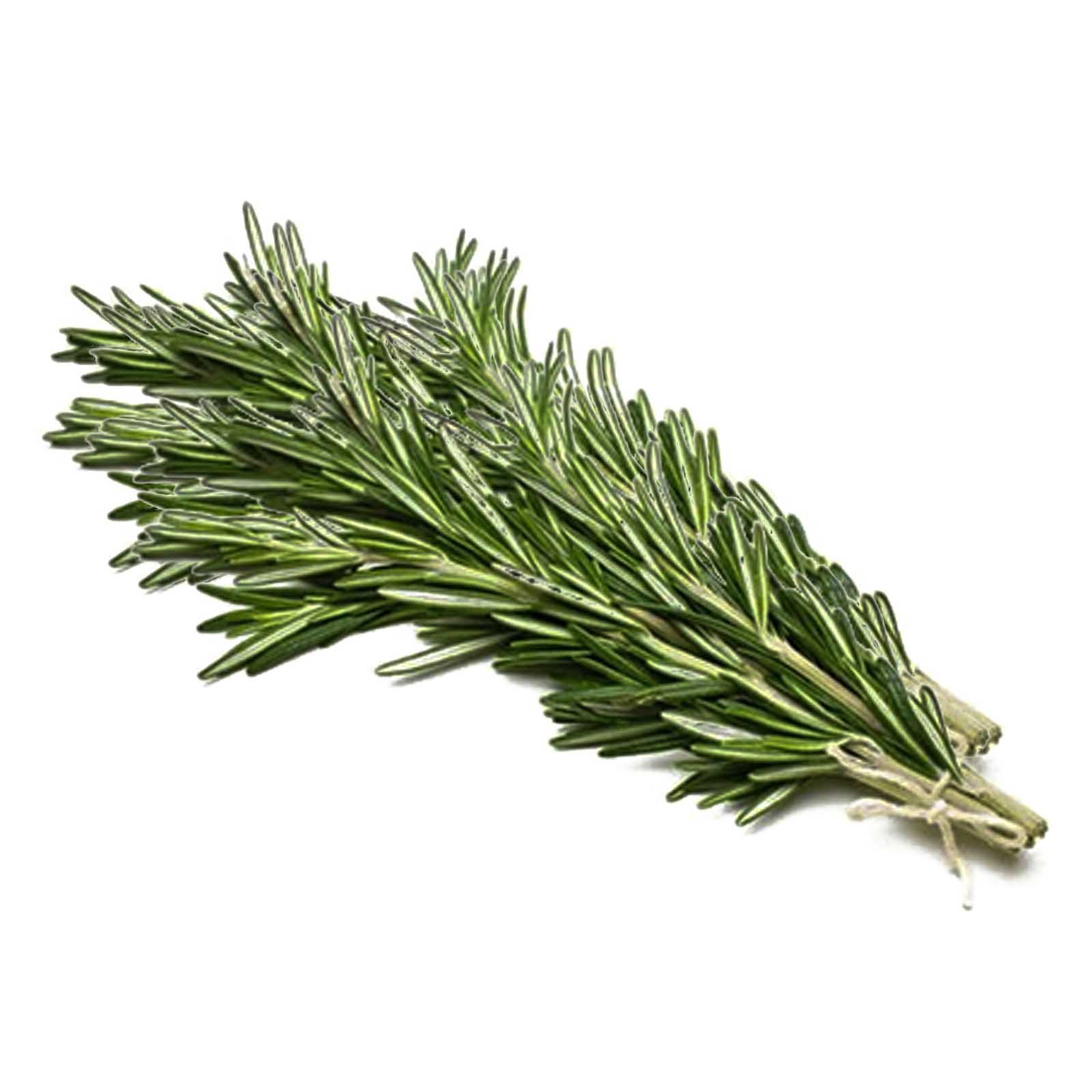 ROSEMARY - KENYA ( KG )