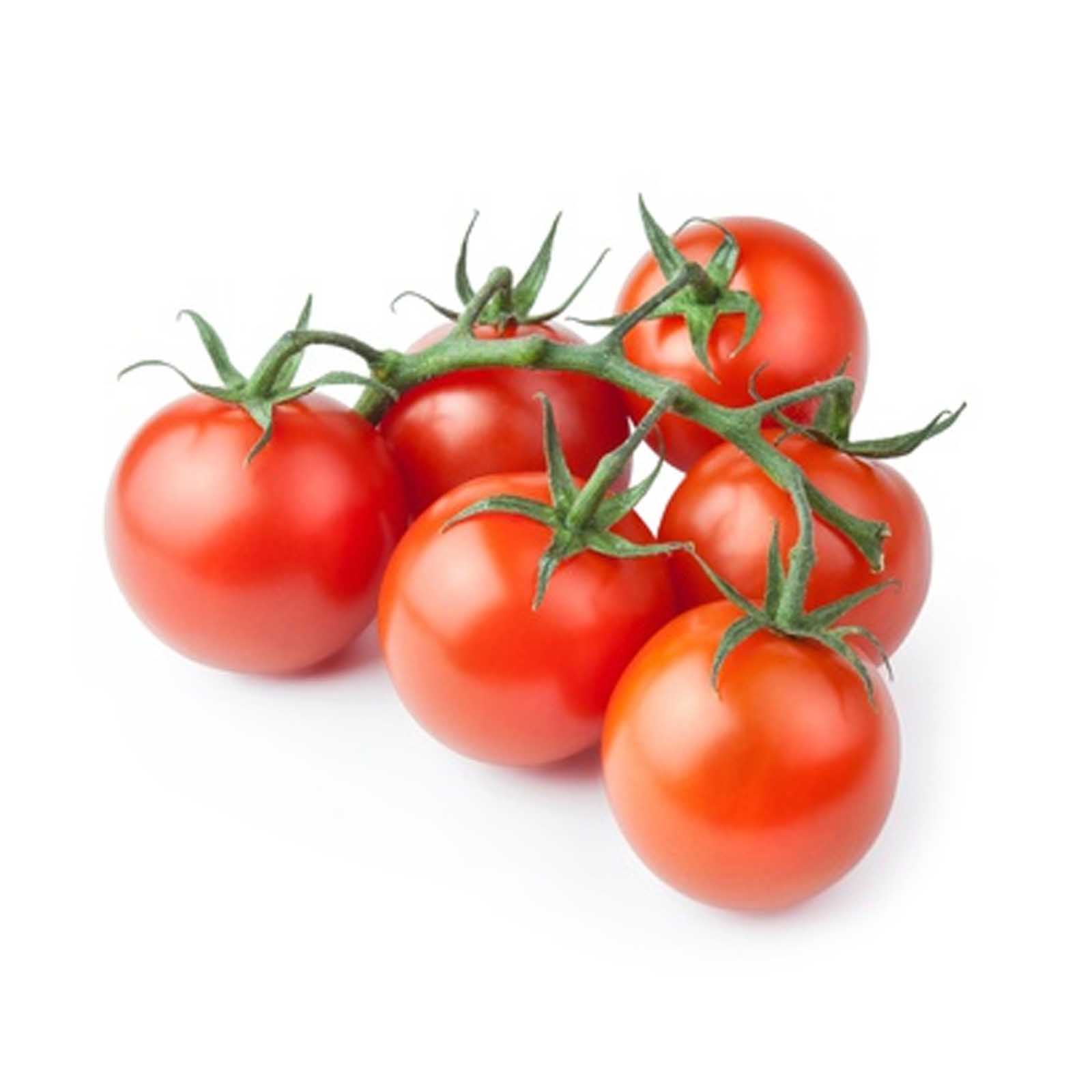 TOMATO ON VINE/ BUNCH - HOLL ( KG )