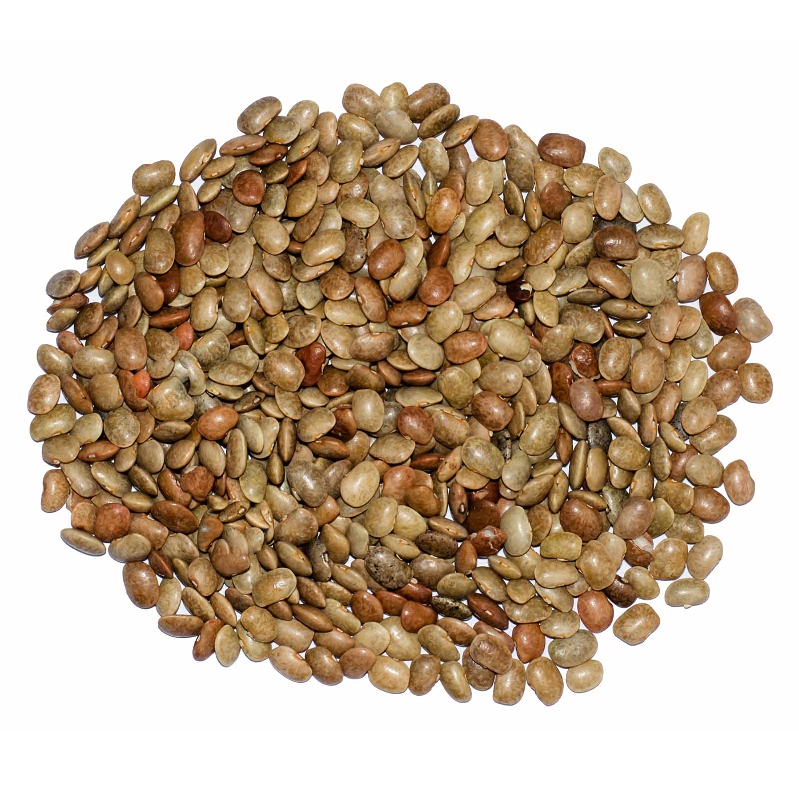 HORSE GRAM MUDHIRA GOODNESS ( 1 KG )