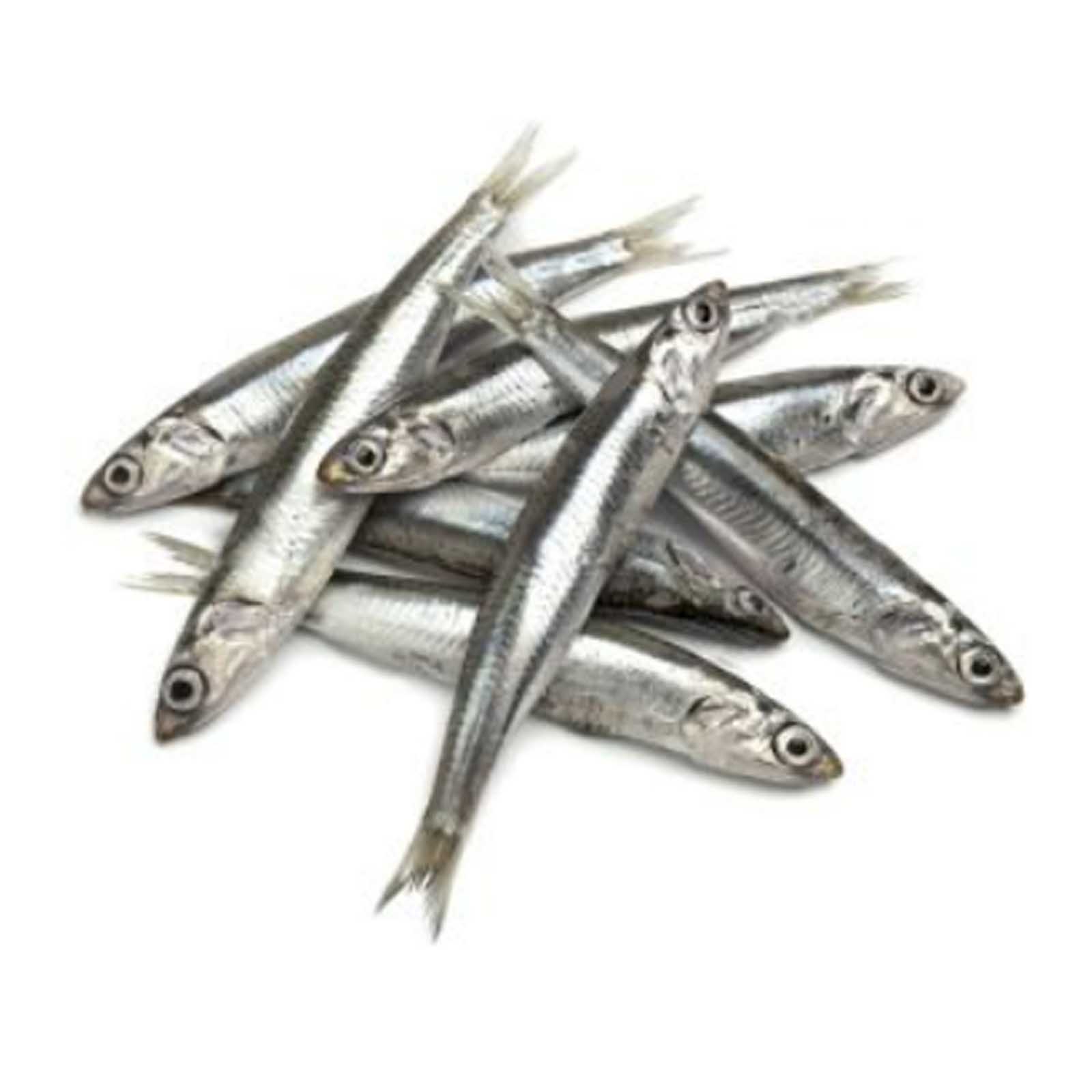 FISH ANCHOVY (NATHEL) FRESH SMALL ( 1 kg )