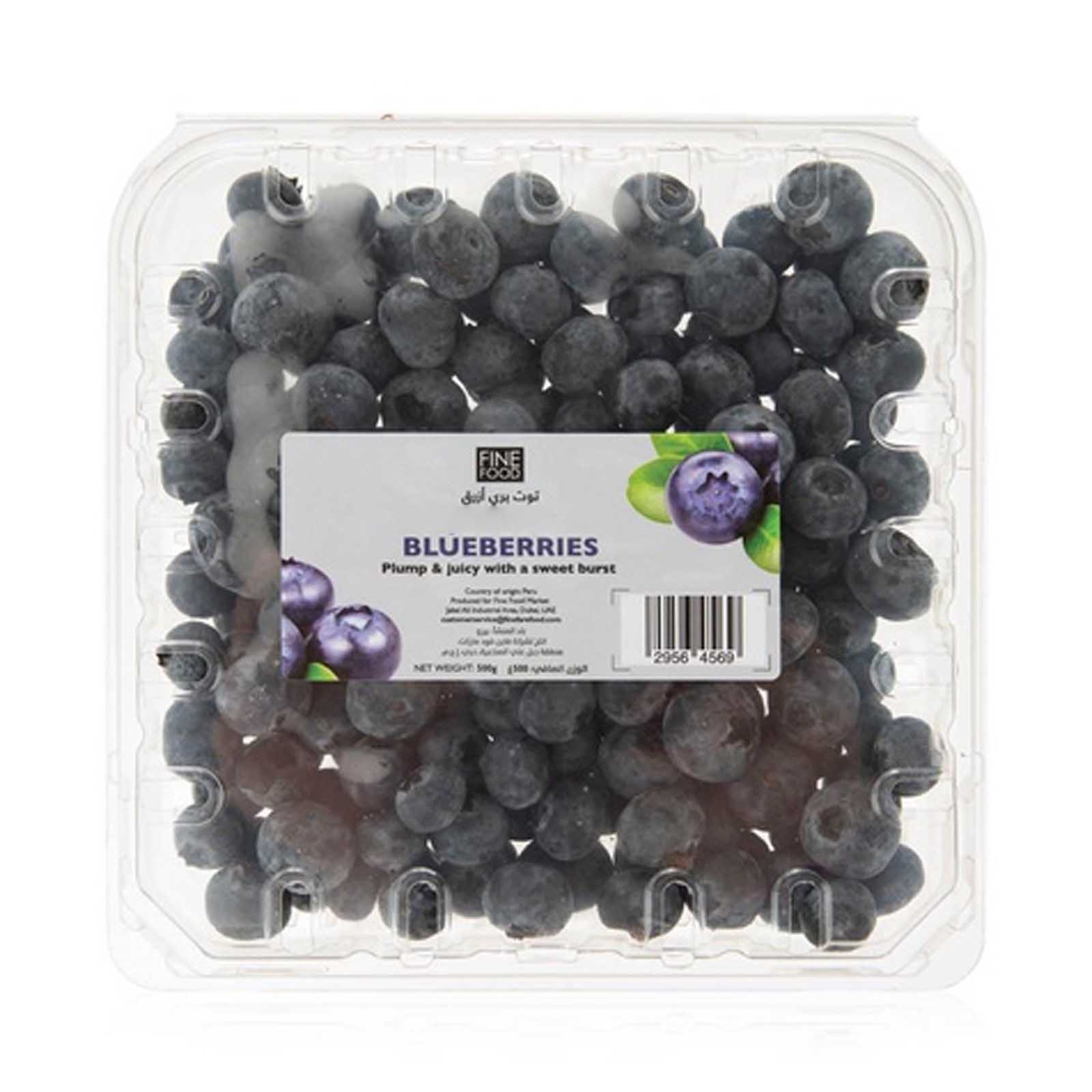 BLUEBERRIES PREMIUM FINE FOOD ( 500 gm )