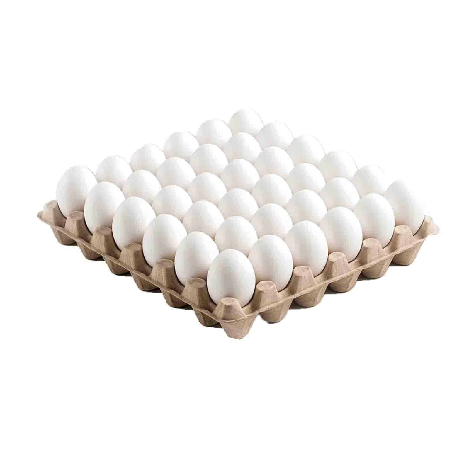 EGG WHITE LARGE UAE ( 30 PCS )