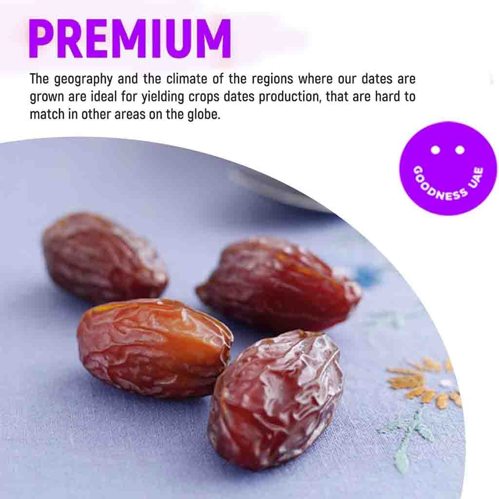  Goodness UAE  Premium Medjool Dates 500g Gift Pack – Naturally Sweet, Jumbo Size Dates from UAE – Healthy Snack, High in Fiber & Energy 
