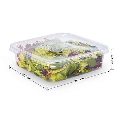  Fit Fresh Lettuce Mix 150 g (Freshly-Prepared, Sanitized, Ready-To-Cook, No Preservatives, No Additives)