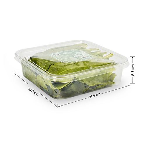  Fit Fresh Spinach 200 g (Freshly-Prepared, Sanitized, Ready-To-Cook, No Preservatives, No Additives)