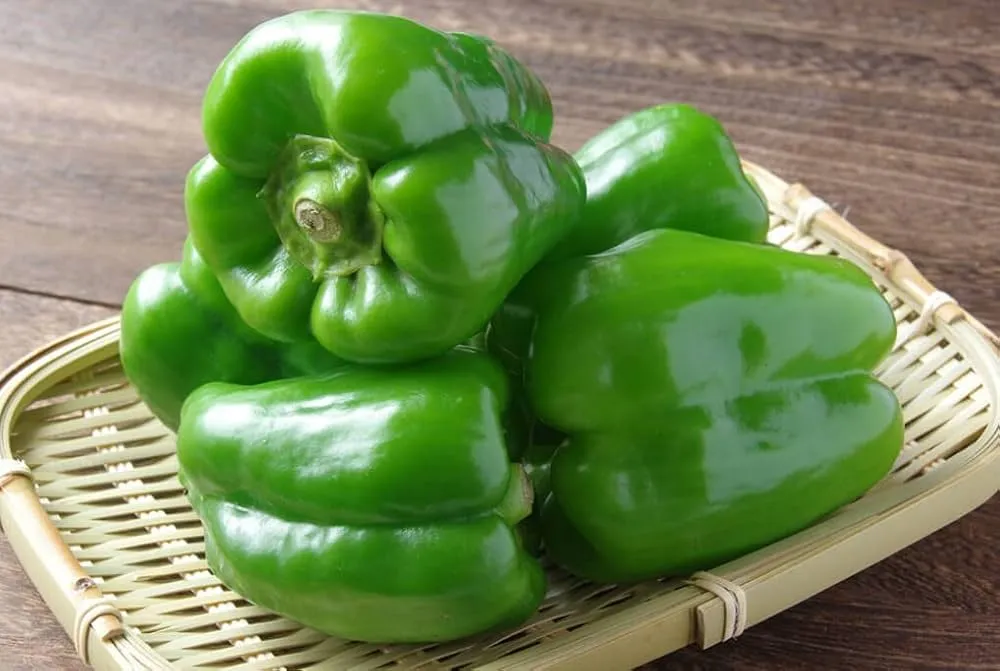 Fit Fresh Capsicum Green Sanitized Kg