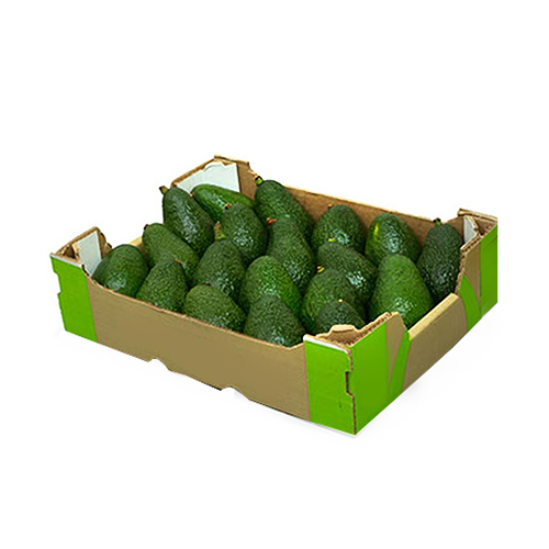 AVOCADO HASS JUMBO - SPAIN/MEXICO - BOX ( 4 KG )