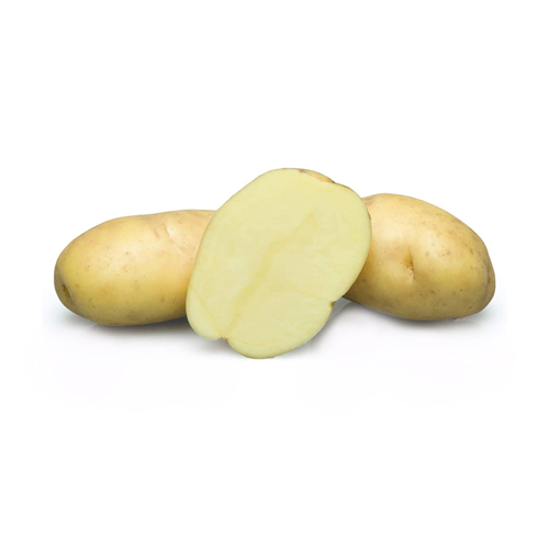  Fit Fresh Potato 1 Kg  Agria   - Holland