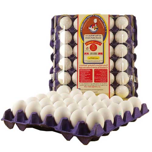 EGG WHITE EXTRA LARGE AL JAZIRA ( 30 PCS )