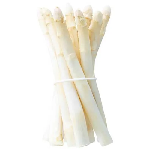 ASPARAGUS WHITE - FRANCE ( KG )