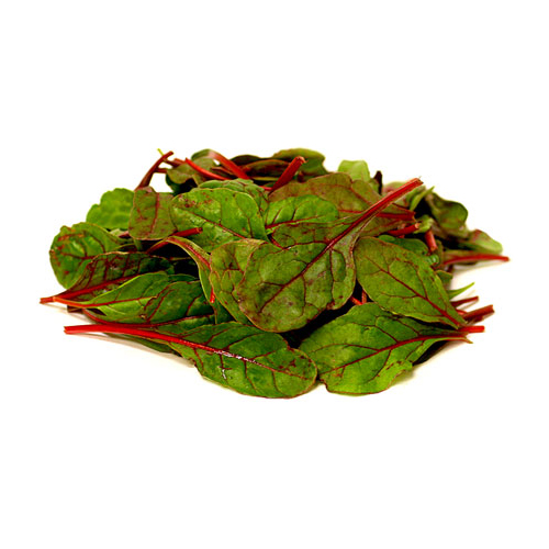 BABY RED CHARD-ITALY-PKT ( 125 GM )