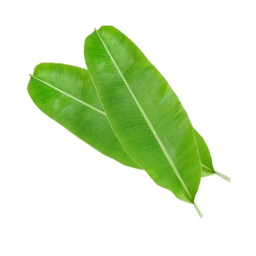 BANANA LEAVES - INDIA ( KG )