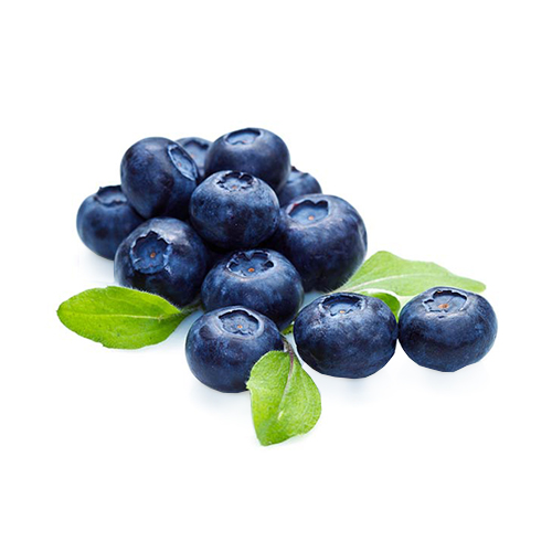  Fit Fresh Blueberry Pkt 125 g - Peru