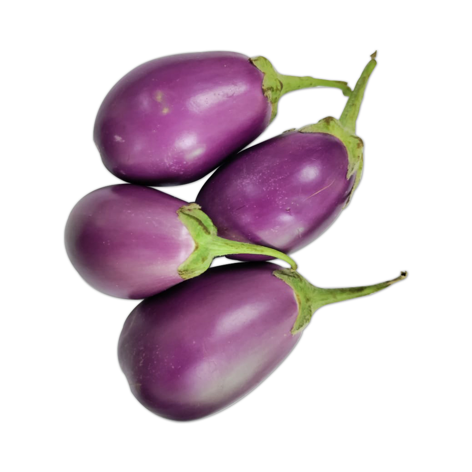 EGGPLANT BABY PURPLE - ME ( KG )