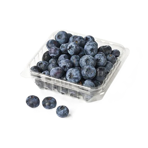  Fit Fresh Blueberry 170 g Pkt - Morc