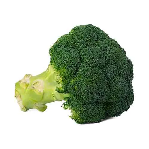  Fit Fresh Broccoli Kg - Spain 