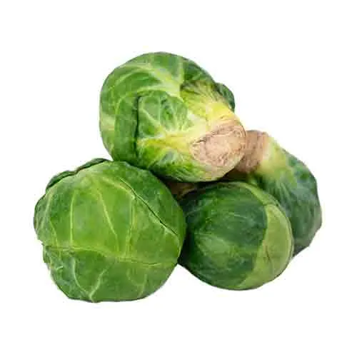  Fit Fresh Brussel Sprouts Kg - Holland