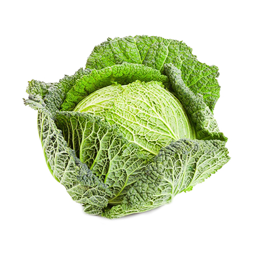 CABBAGE SPRING - HOLLAND - 1PC ( 0.7 - 0.9 KG )
