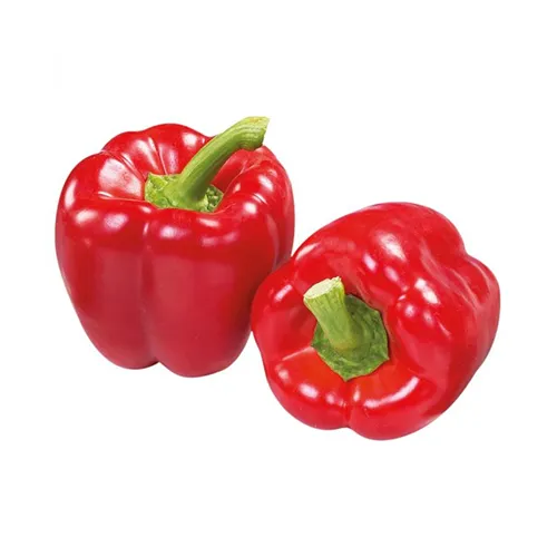 CAPSICUM RED - HOLL ( KG )