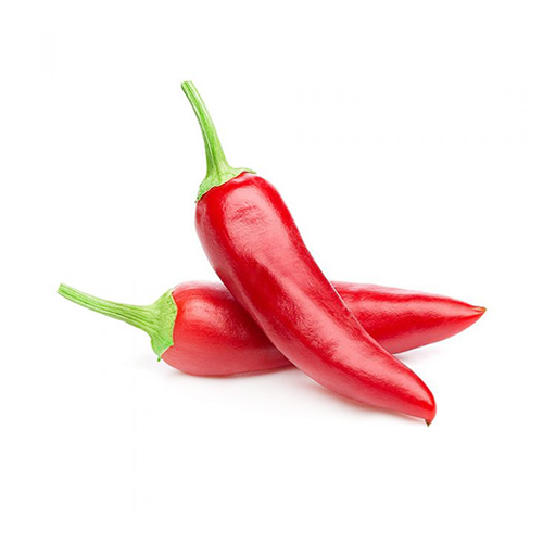 CHILLY JALAPENO RED - HOLL ( KG )
