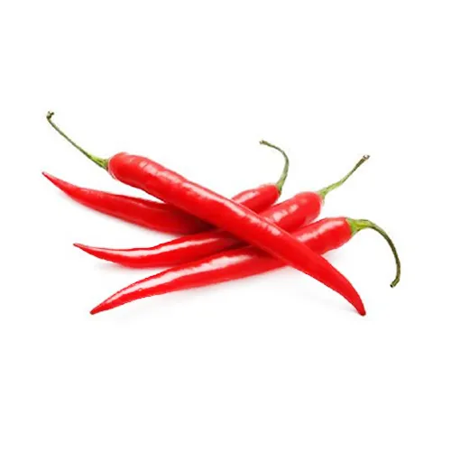 CHILLY RED LONG - HOLL ( KG )