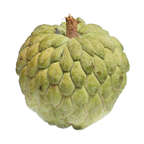  Fit Fresh Custard Apple 1 Pcs 300 - 400 g - Brazil/Spain