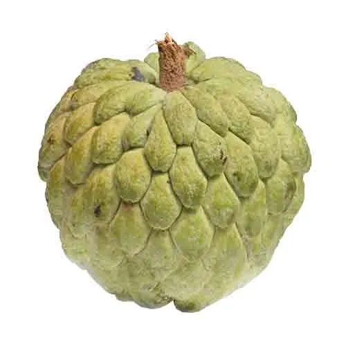 CUSTARD APPLE - BRAZIL 1PC ( 300 - 400 GM )