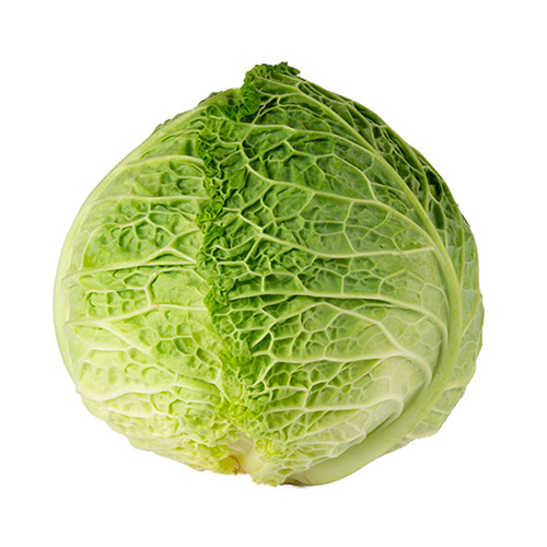  Fit Fresh Cabbage Savoy 1 Kg - Holland