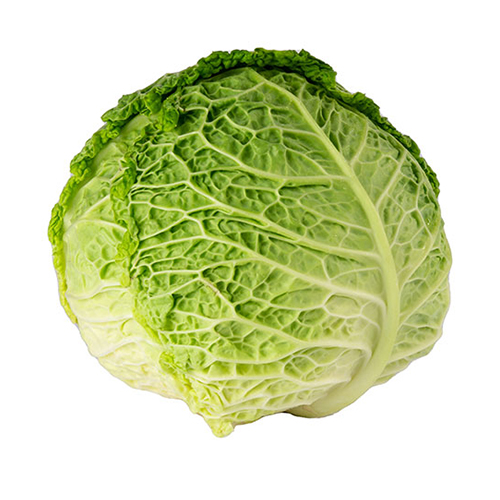  Fit Fresh Cabbage Savoy 1 Kg - Holland