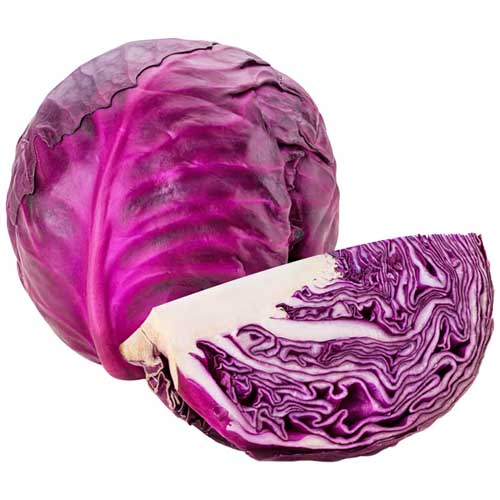 CABBAGE RED - HOLL ( KG )