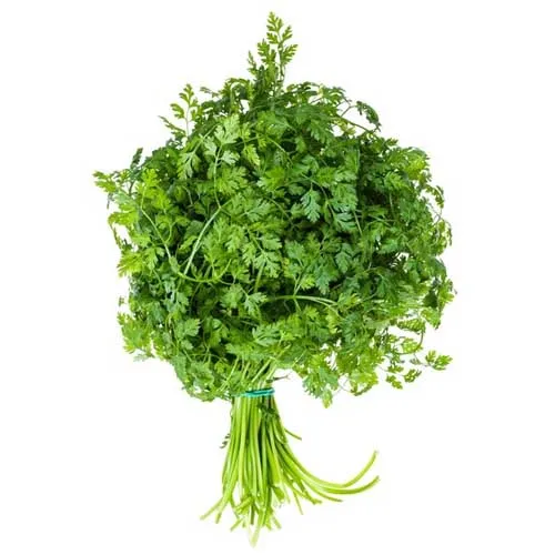 CHERVIL - KENYA ( KG )