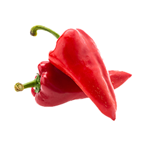 CHILLY JALAPENO RED - ME ( KG )