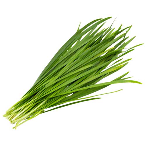  Fit Fresh Chinese Chives Kg - China 